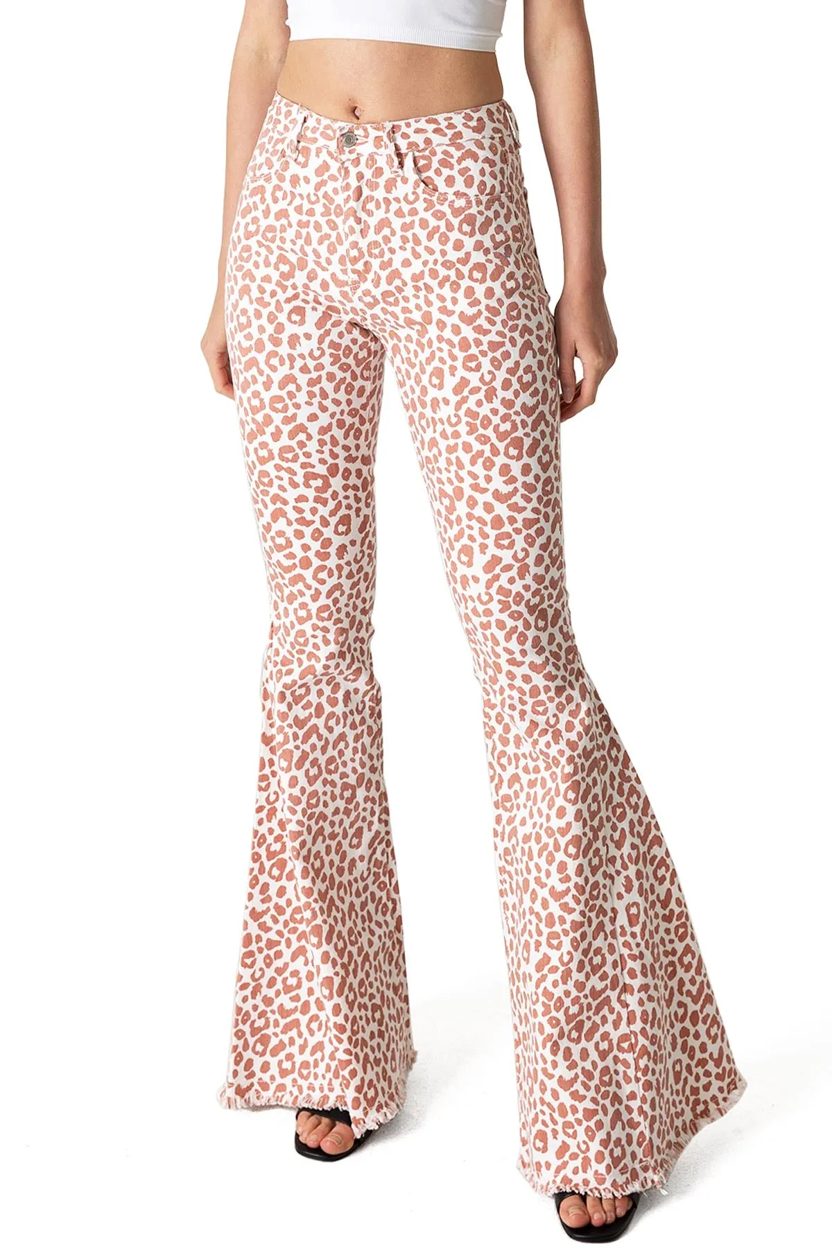 Leo Amplified Flares